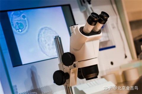 http://shijiazhuang.papirsys.com/post/193.html|石家庄捐卵微信